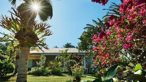 Un jardin tropical avec un palmier, des bougainvilliers et une maison dotée d’un toit végétalisé.