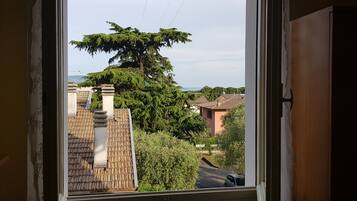 Quarto solteiro luxo, vista parcial para o lago | Vista do quarto