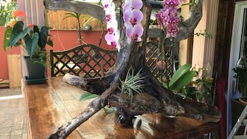 Kahden hengen huone, tupakointi kielletty | Terassi/patio