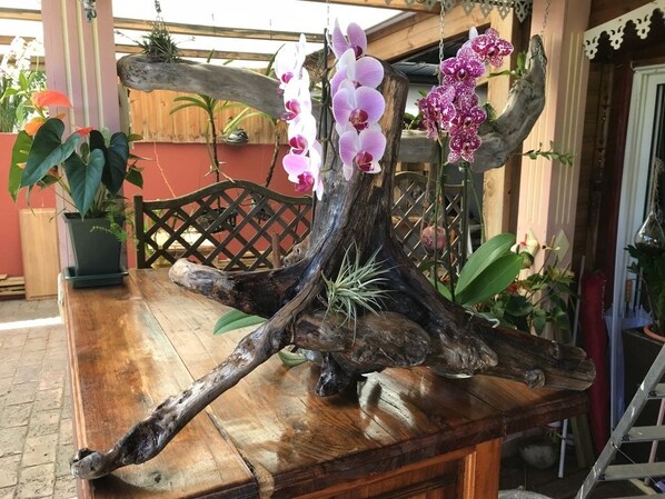 Quarto casal, para não fumantes | Terraço/pátio