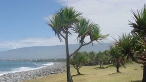 Beach - Fleur des Iles (Bras-Panon)