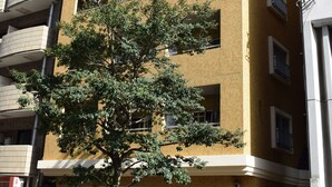 Un edificio de varios pisos con fachada amarilla, balcones y un árbol en la parte delantera.
