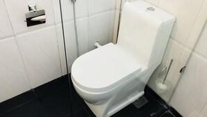Ducha, cabezal de ducha tipo lluvia, secador de pelo, bidet