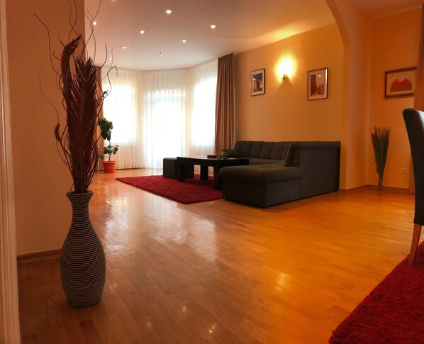 Comfort Apartment | Living room