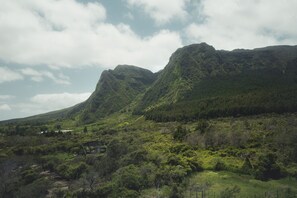 Vistas desde la habitación