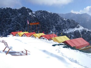 Property grounds - The Sky Village (Baijnath)