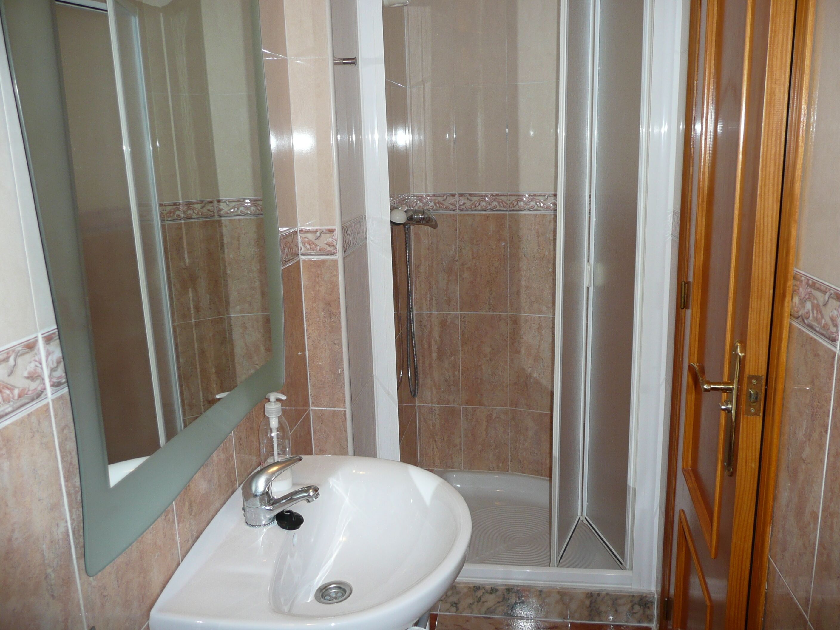 Une salle de bain avec un lavabo, un miroir, une douche et une porte.