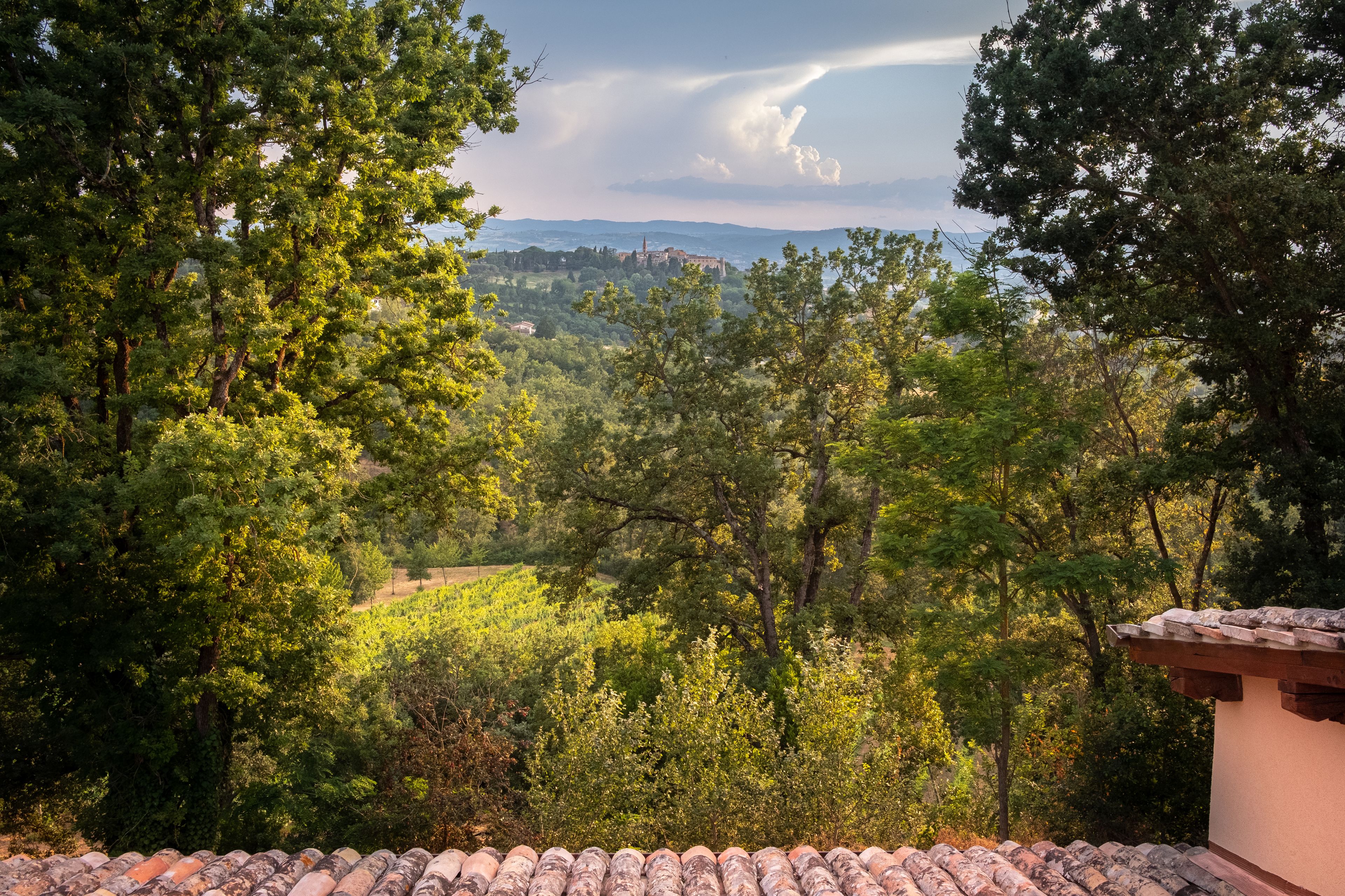 A view of a mountainous landscape with dense greenery and a distant building.
