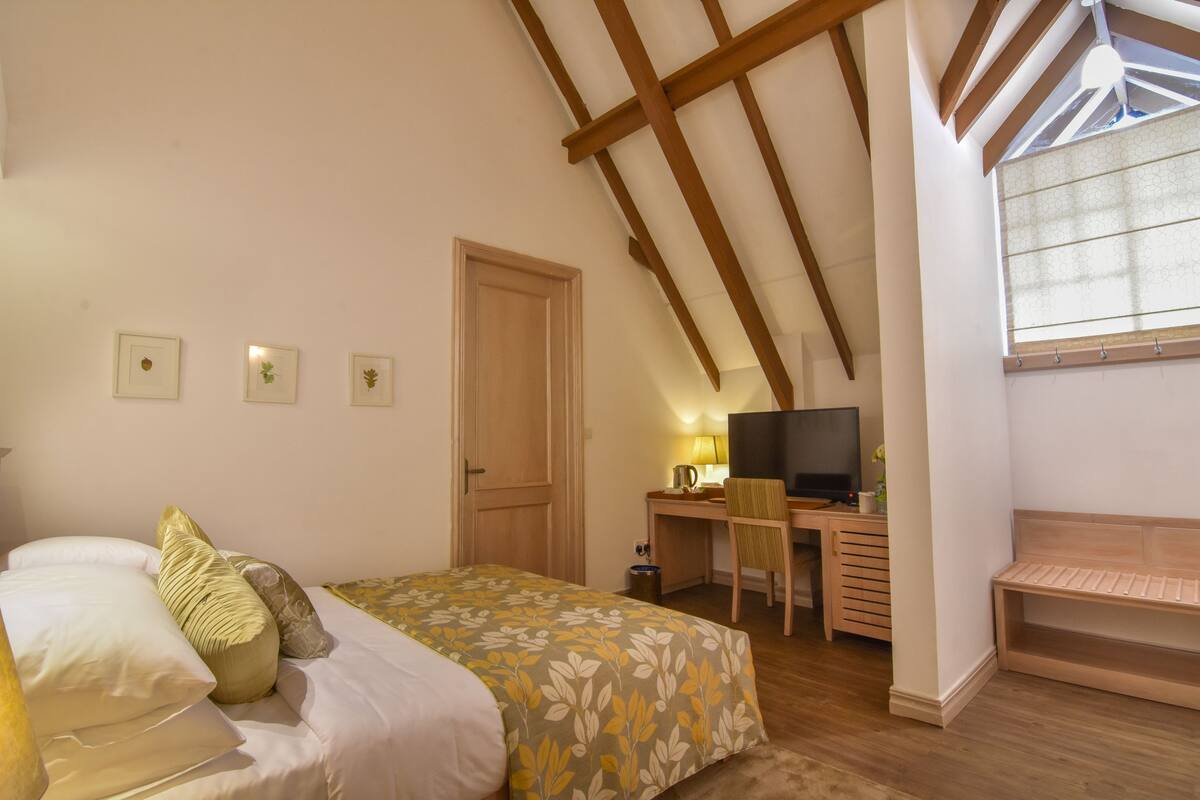 Une chambre à coucher avec un lit, un bureau, une chaise, une télévision et une fenêtre.