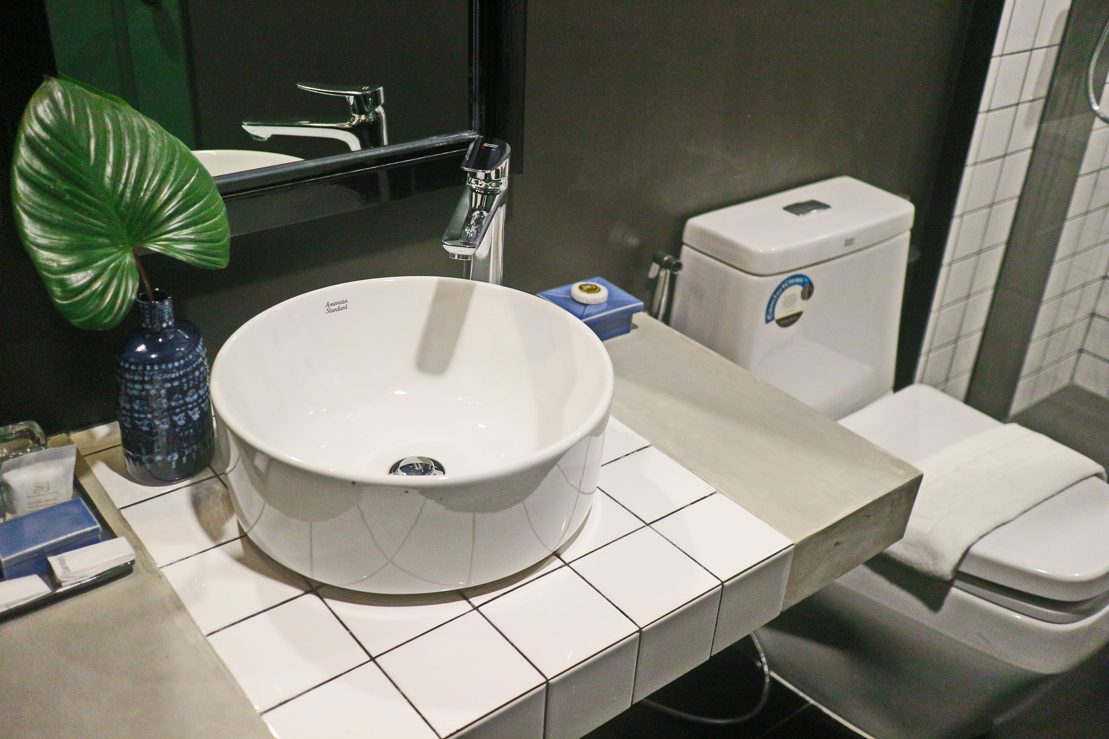 A bathroom with a white sink, a mirror, a toilet, and a green plant.