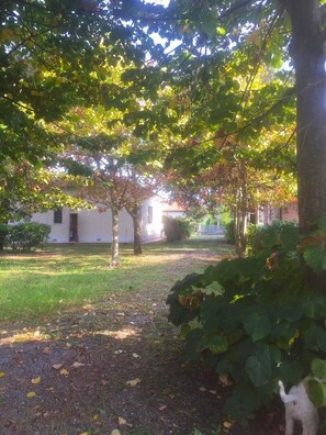 Terrein van de accommodatie