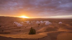A desert landscape with multiple white tents arranged in a circular pattern, suggesting a communal living area or camp.