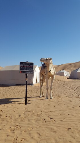 Camp Mars