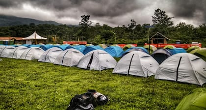 Jungle Mount Adventure Camp