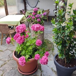 Outdoor dining - Hotel Römerkrug (Hannover)
