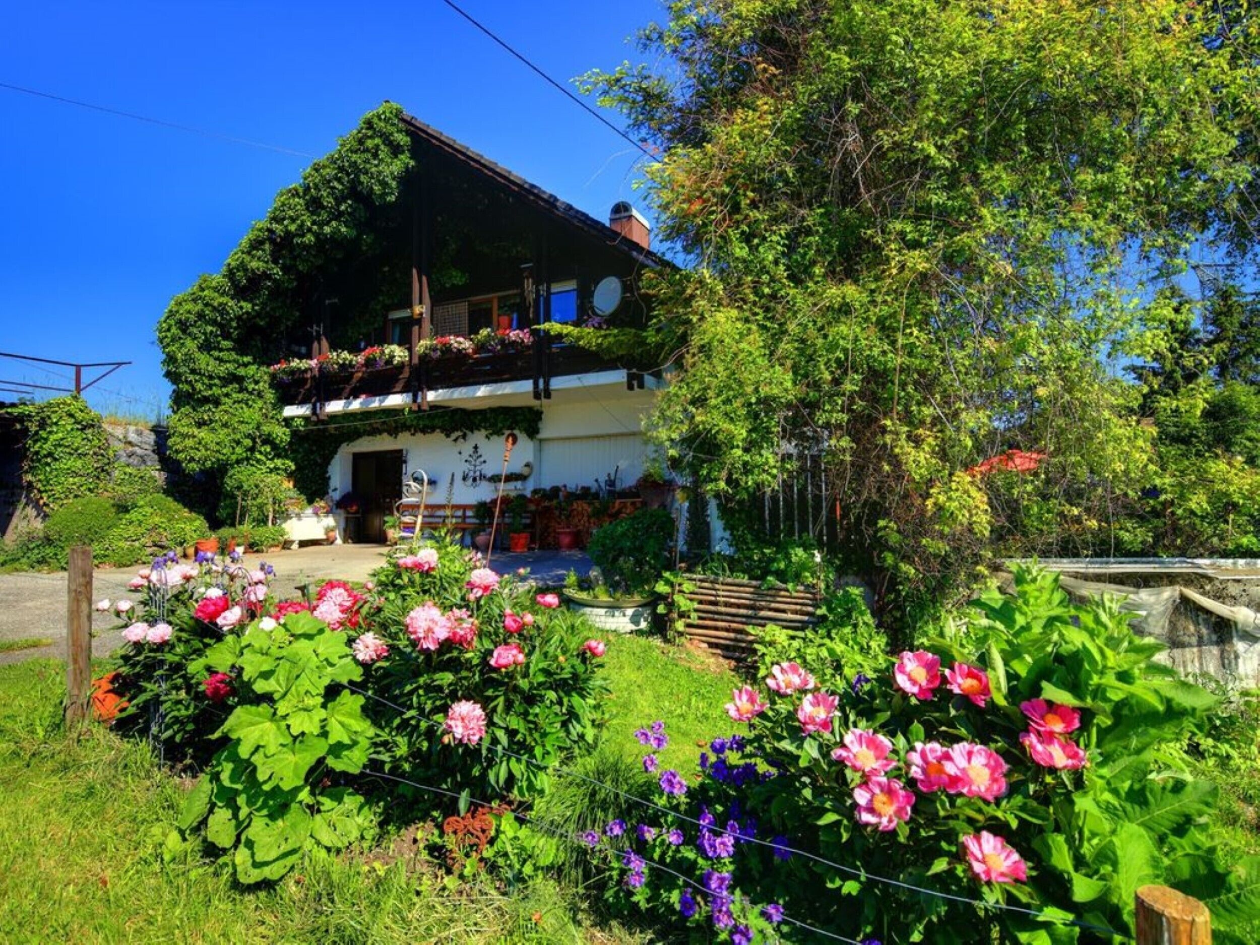Haus Egelsee, at Haus Egelsee Studio