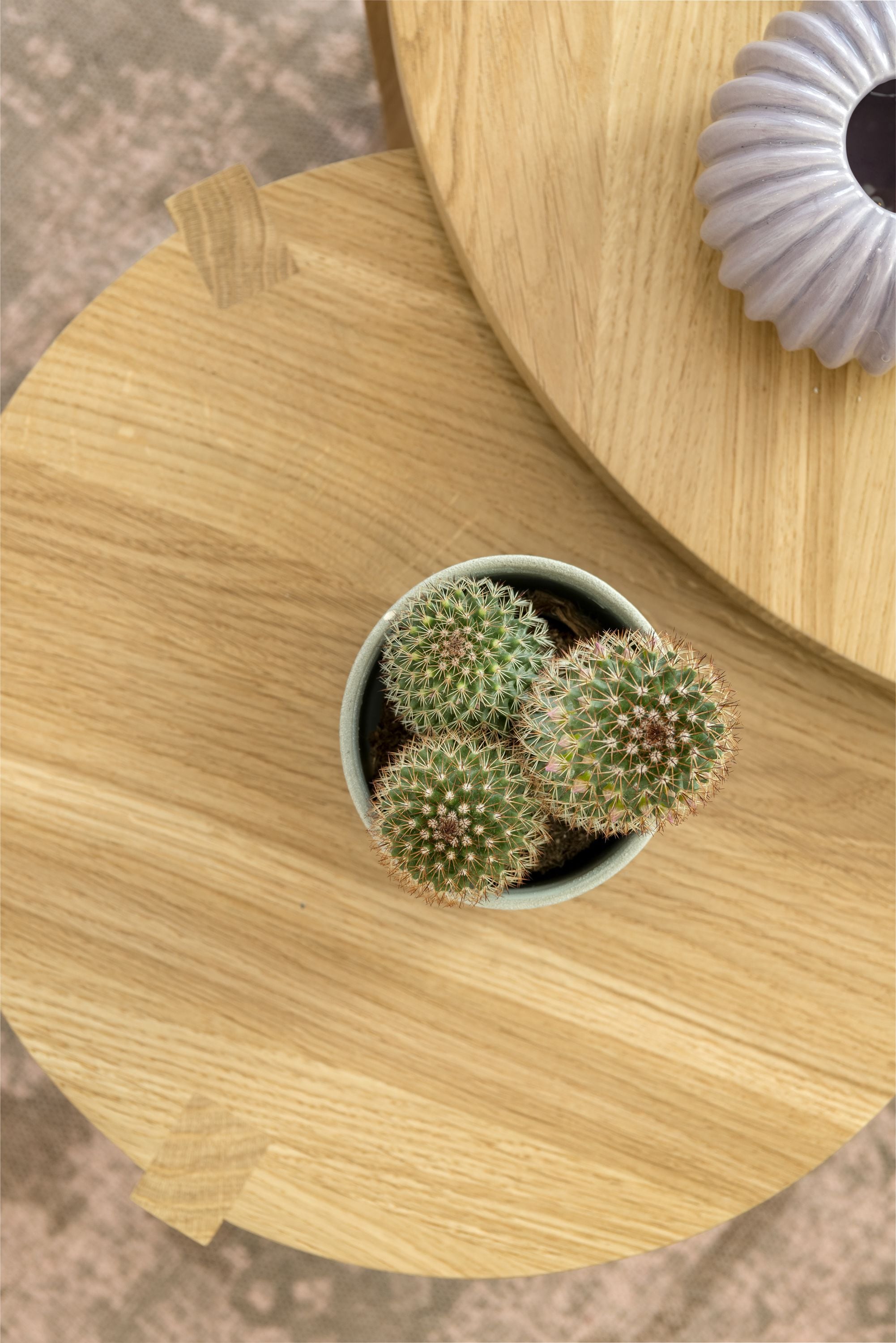 A top-down view of a wooden table with a potted cactus.