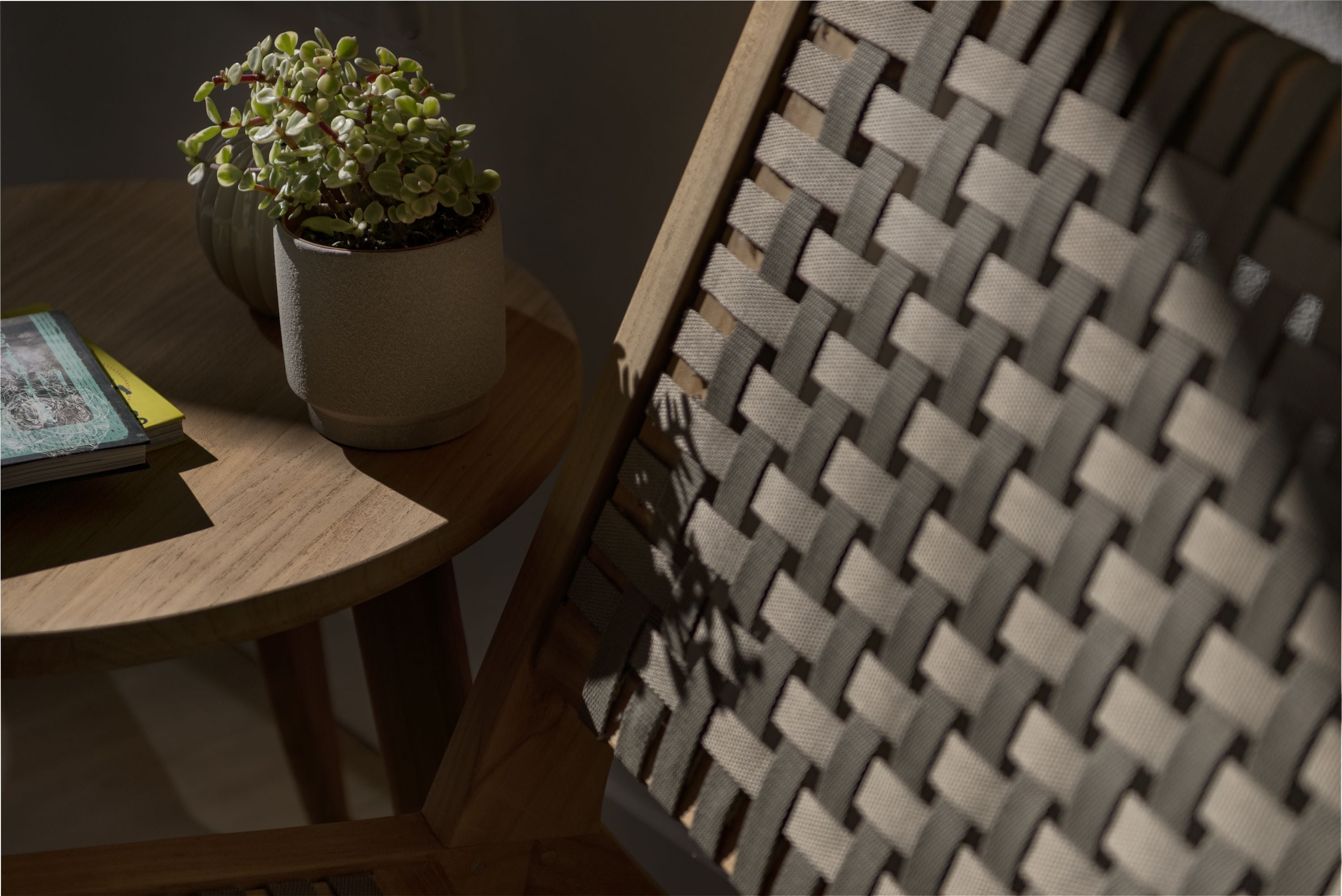A round wooden table with a potted plant and a book.