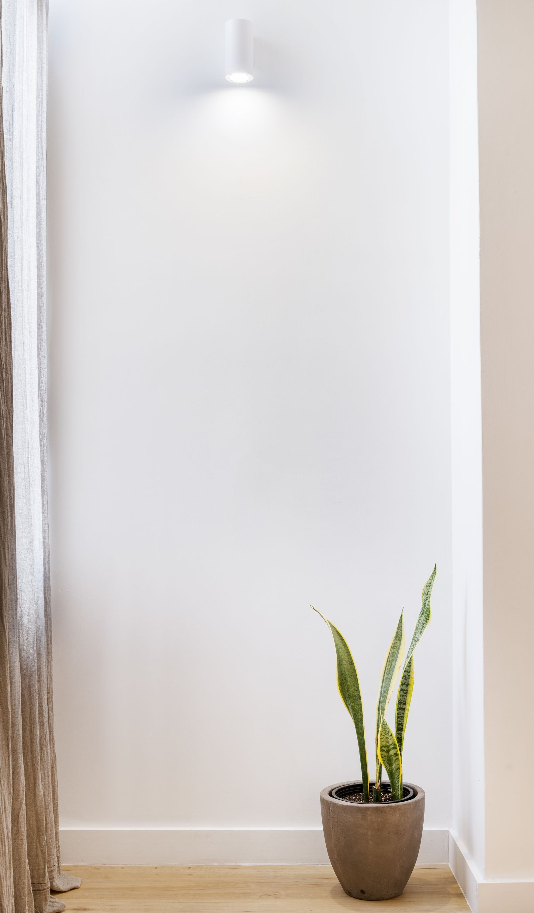 A potted plant with two green leaves in a brown pot on a wooden floor against a plain white wall.