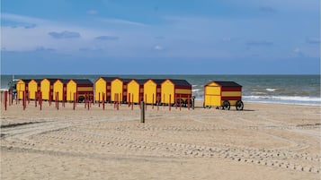 Vlak bij het strand, vissen