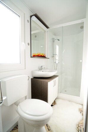 Apartamento, 2 camas Queen, para não fumantes, vista para a piscina | Banheiro | Chuveiro, produtos de toalete grátis