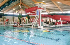 Indoor pool - Pet friendly home in Vlagtwedde (Vlagtwedde)