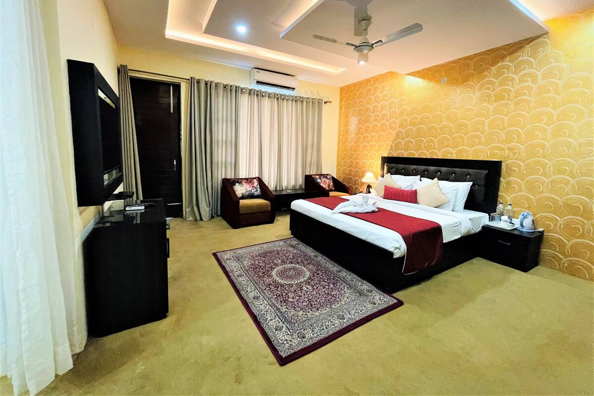 A hotel room with a bed, a desk, a chair, a TV, a ceiling fan, and a patterned carpet.