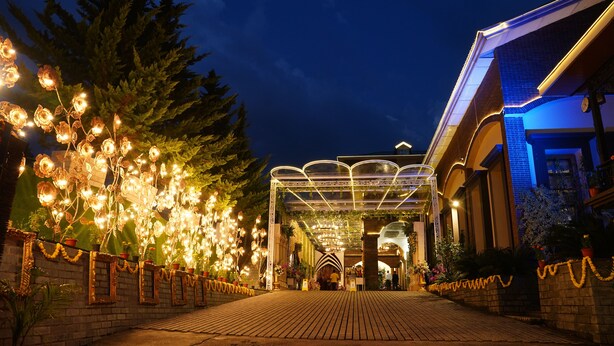 An entrance with a brick pathway, decorative lights, and a covered area with a glass roof. - Sterling Banquet and Hotel (Palampur)