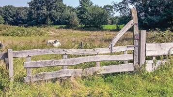 Terrein van de accommodatie