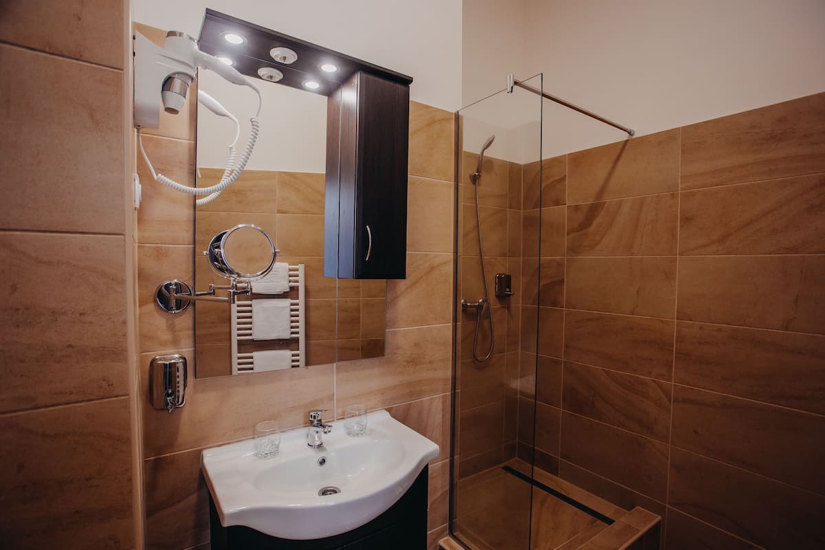 shower, free toiletries, hair dryer, towels