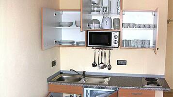 Großer Kühlschrank, Mikrowelle, Herdplatte