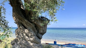 Beach nearby, sun-loungers, beach umbrellas, beach towels