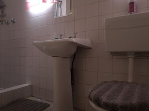 Apartment, 1 Schlafzimmer, barrierefrei, Gartenblick | Badezimmer | Dusche, kostenlose Toilettenartikel, Handtücher