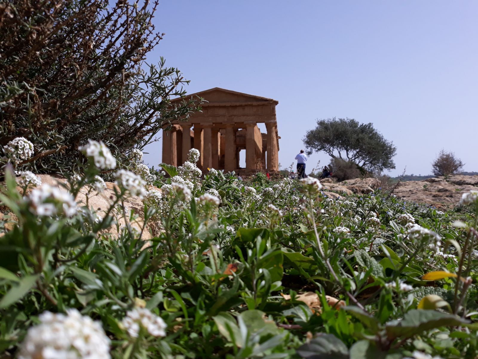 Foto - Atenea Luxury Suites - Atenea Collection