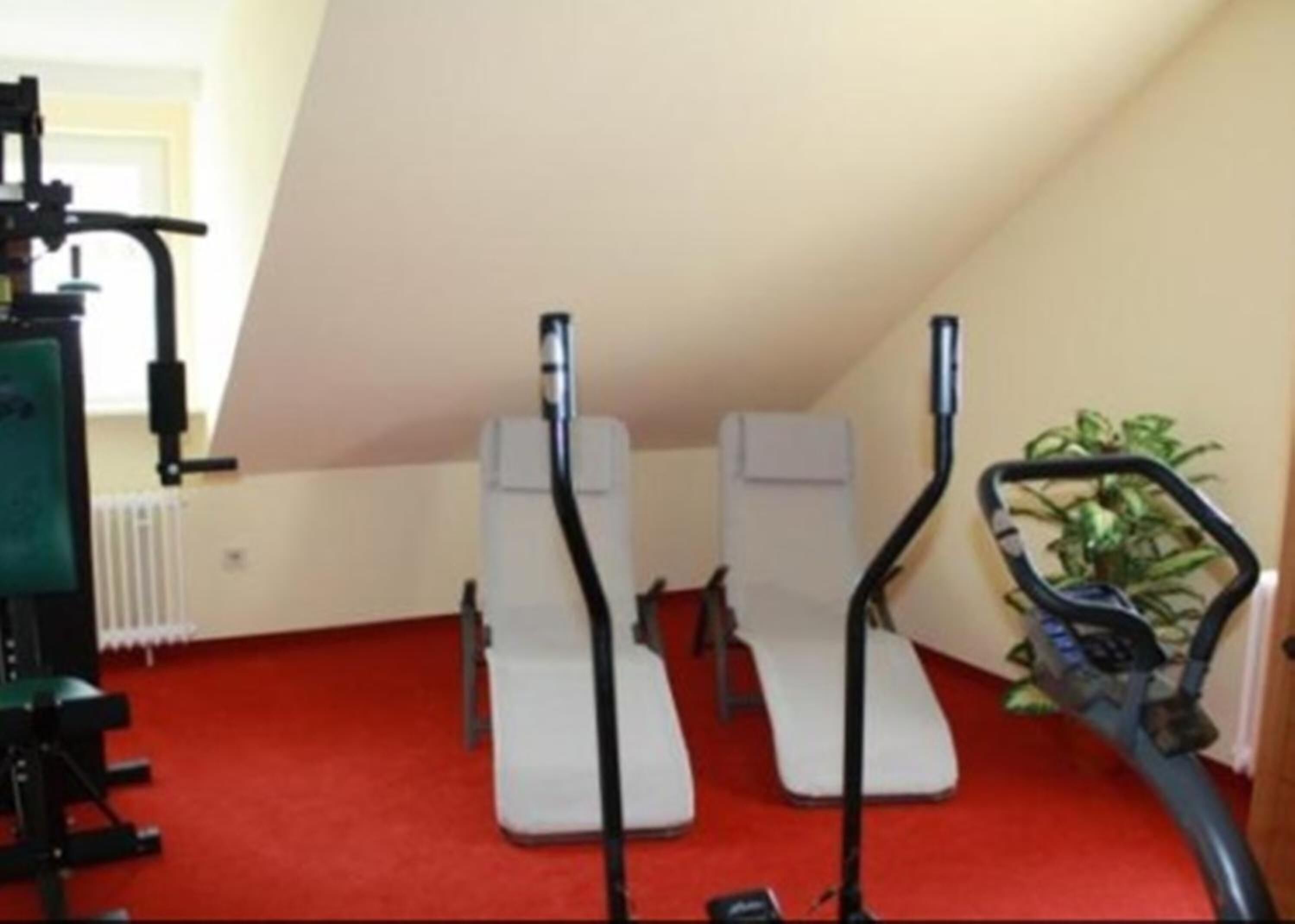 Ein Zimmer mit zwei Trainingsgeräten, einem Heizkörper und einer Pflanze.