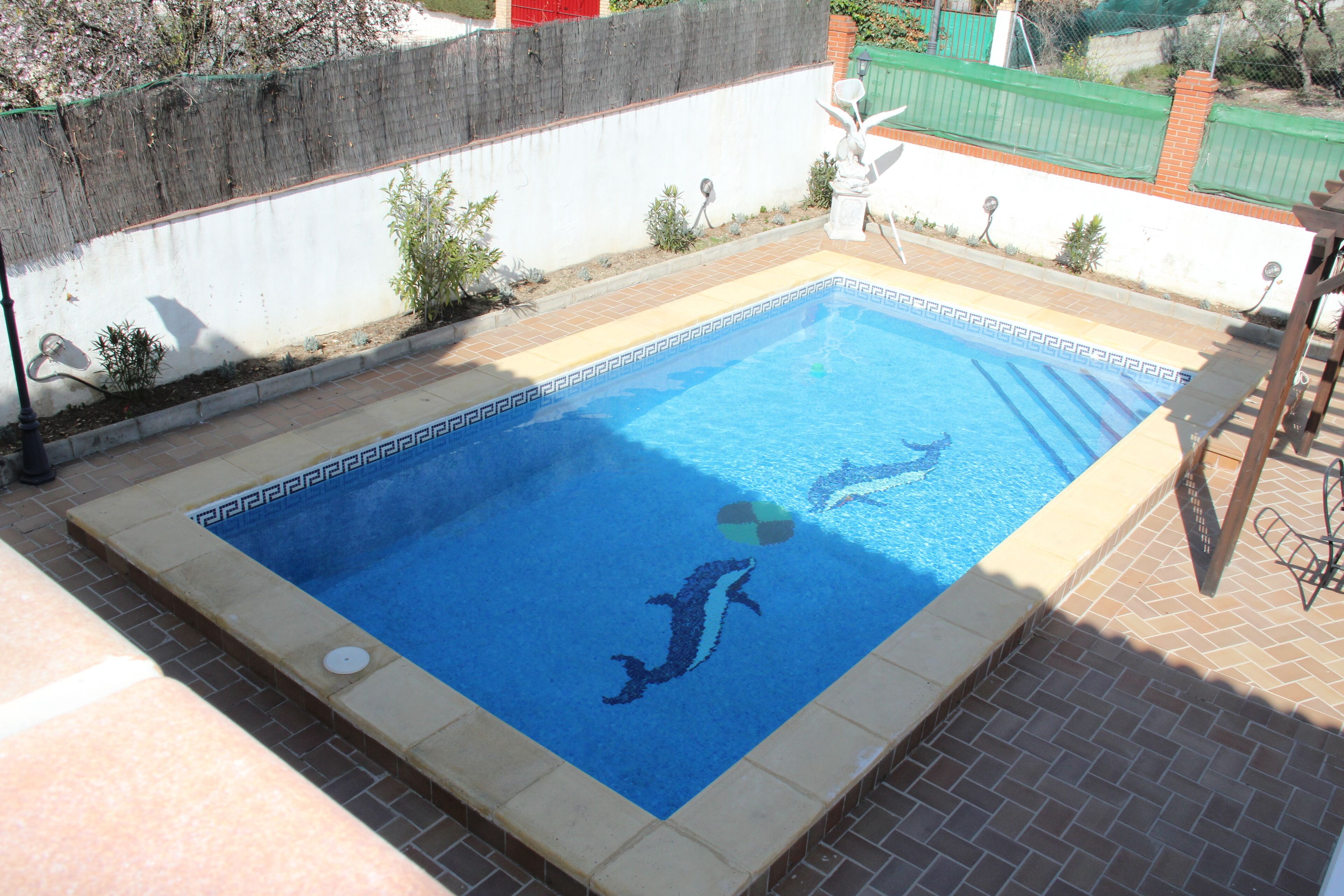 室外游泳池，11:00 至 21:00 开放，日光浴躺椅