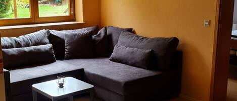 Smart TV, DVD player, books, stereo