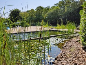 A tranquil outdoor pool area with a wooden deck, surrounded by lush greenery and a small pond with lily pads. - Ferienwohnungen Margaretenhof (Brandenburg an der Havel)