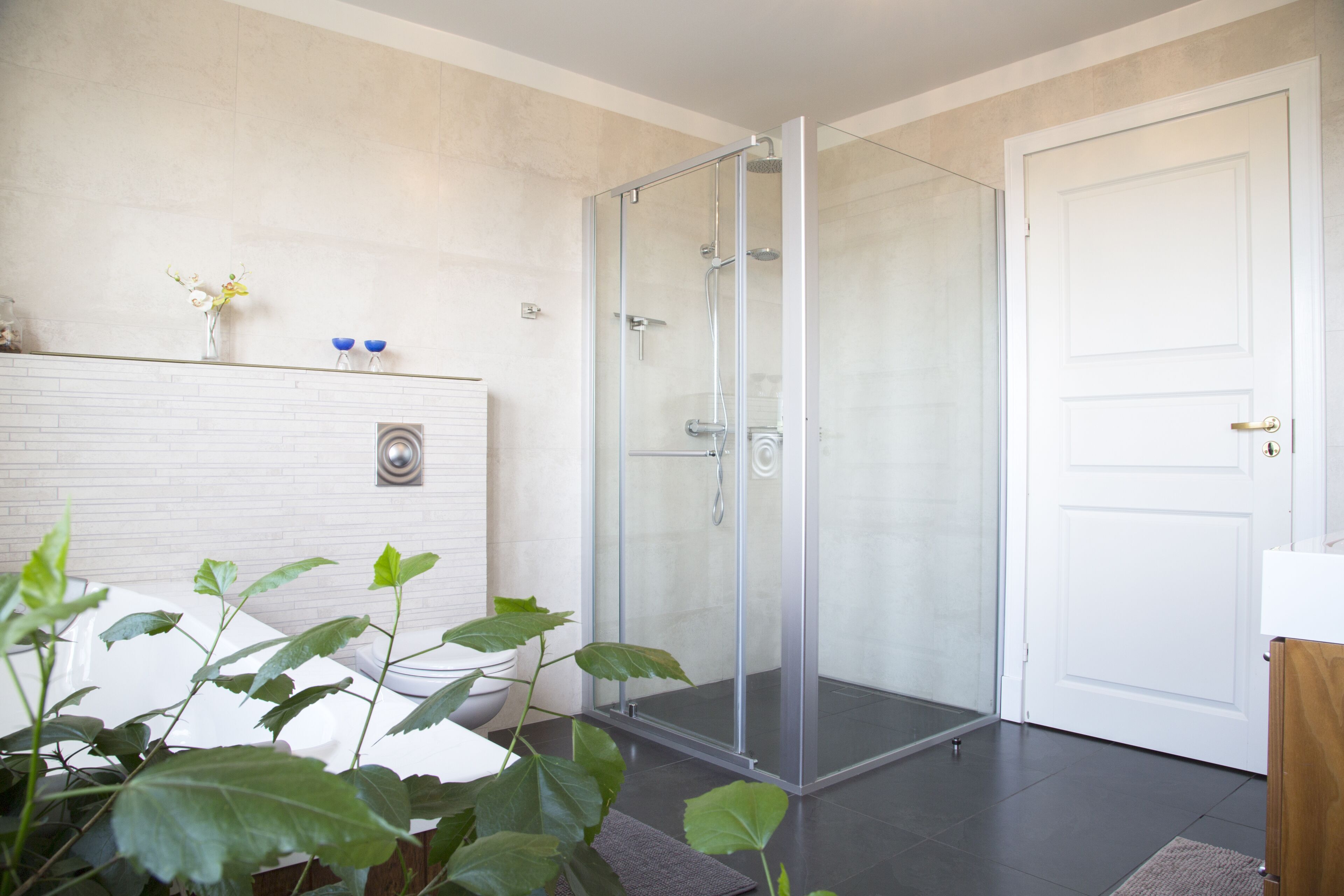 Douche de la salle de bain