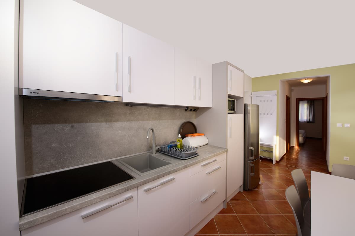 Fridge, microwave, stovetop, electric kettle