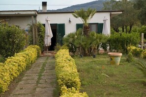A pathway leading to a house with green shutters, surrounded by neatly trimmed yellow bushes and various plants.