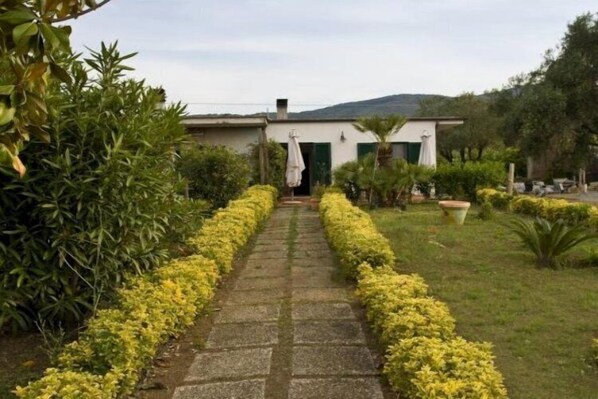 A pathway leading to a building with a green door, surrounded by neatly trimmed yellow bushes and various plants.