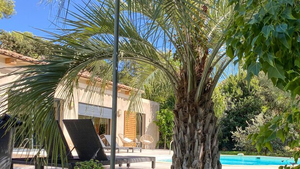 Ein Poolbereich mit Liegestühlen, einer Palme und einem Gebäude mit Ziegeldach.
