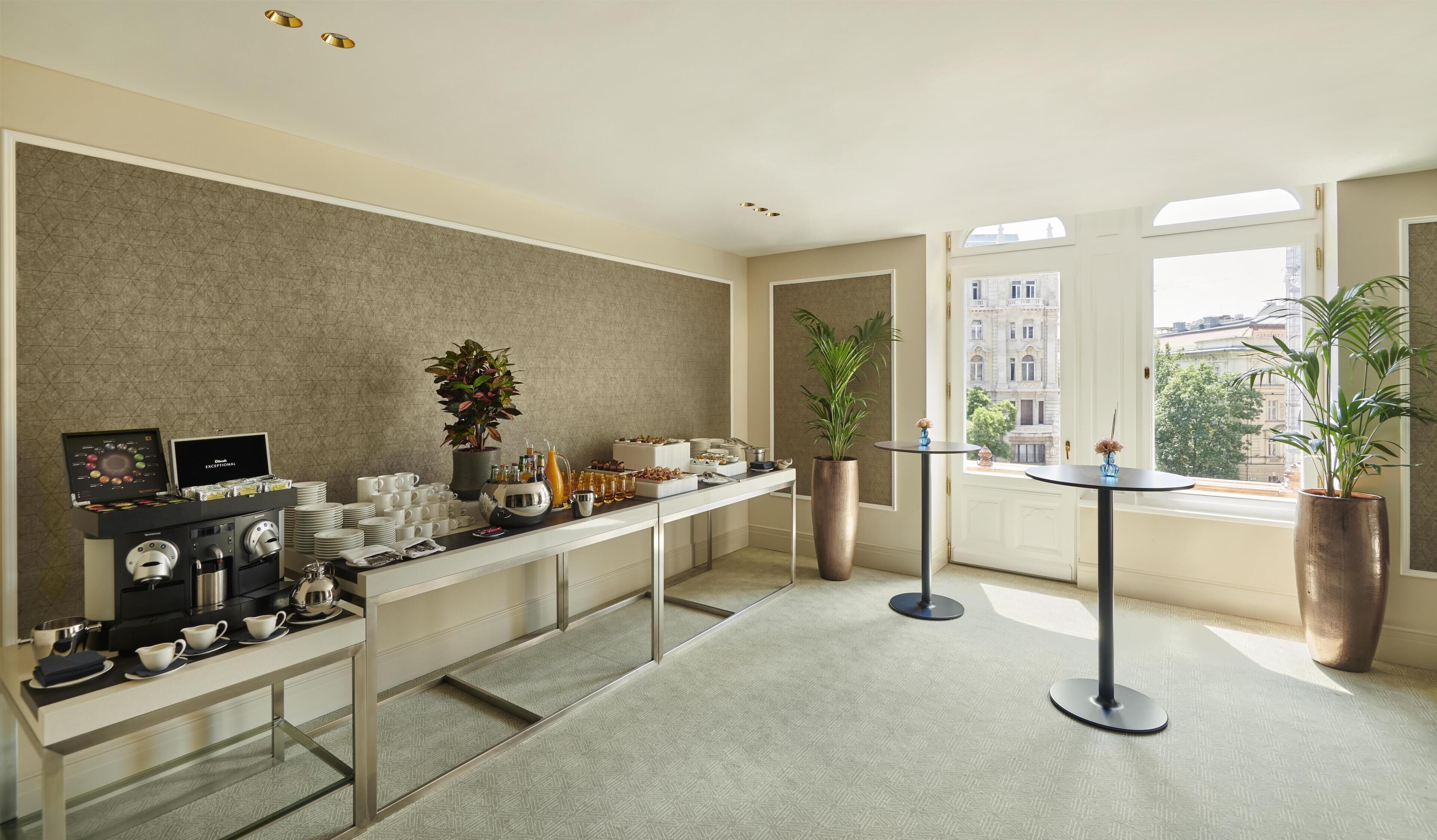 Habitación de hotel moderna con barra de desayuno, ventanas amplias y plantas en macetas.
