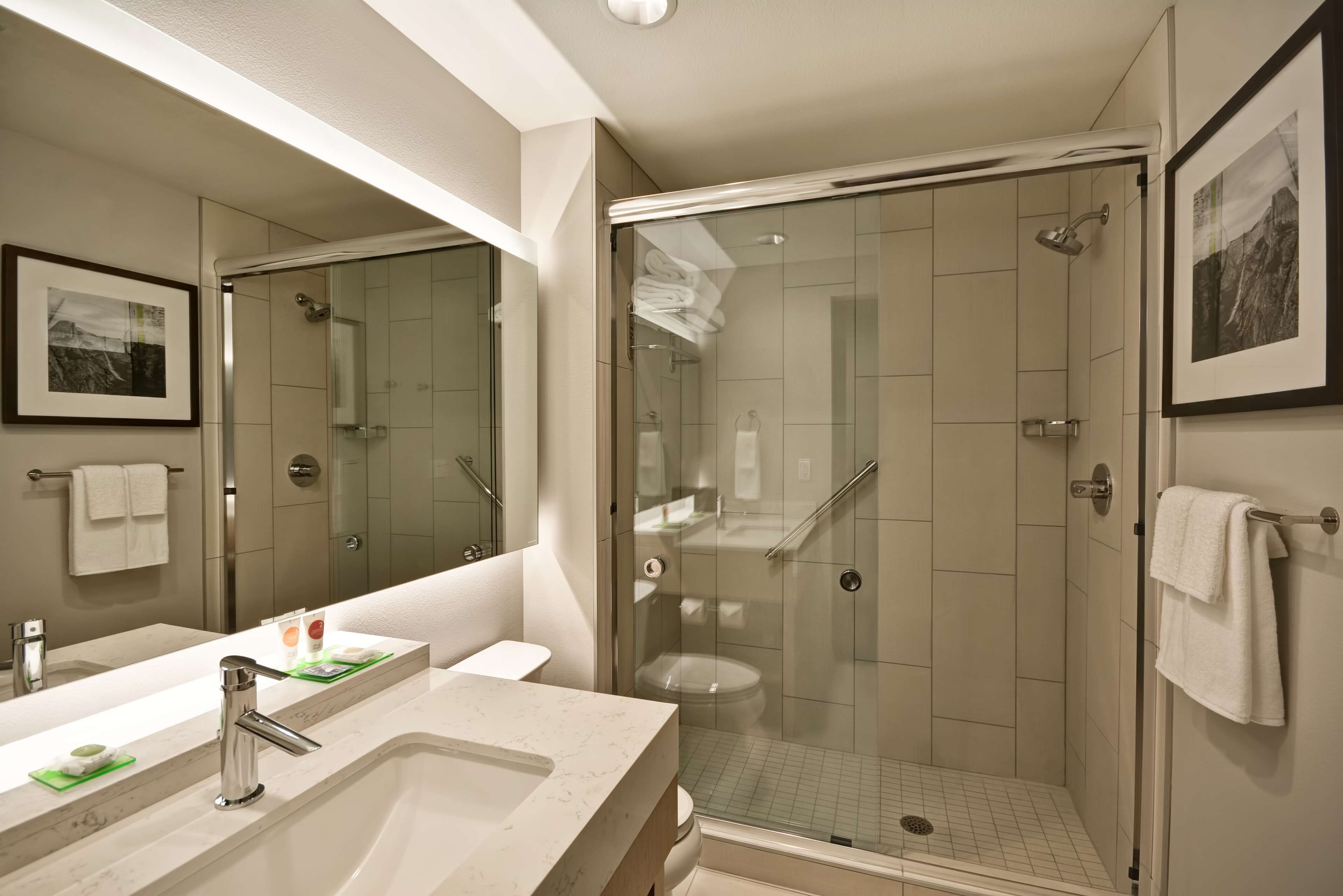 hair dryer, towels, soap, shampoo