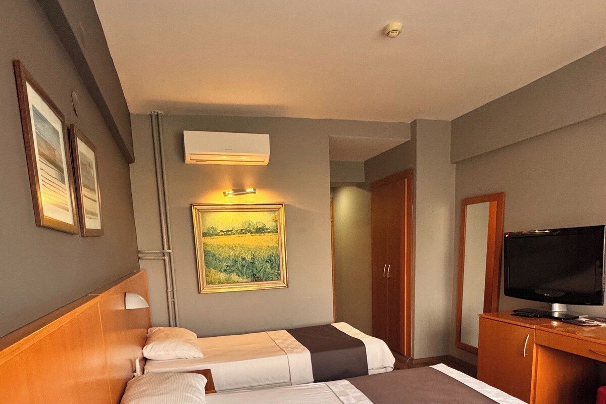 Habitaci ón de hotel con dos camas, televisión, escritorio y un cuadro en la pared.