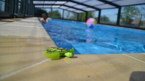 A pool area with a clear view of the water, a small green turtle toy on the edge, and a person in the background. - Alaguyauder La Chambre (Chatillon-sur-Broue)
