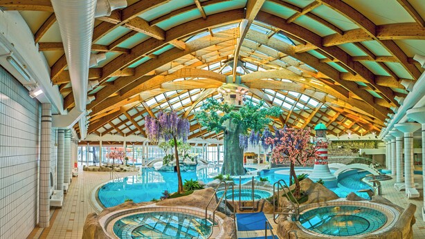 An indoor swimming pool with multiple hot tubs, a central tree, and a wooden ceiling structure.