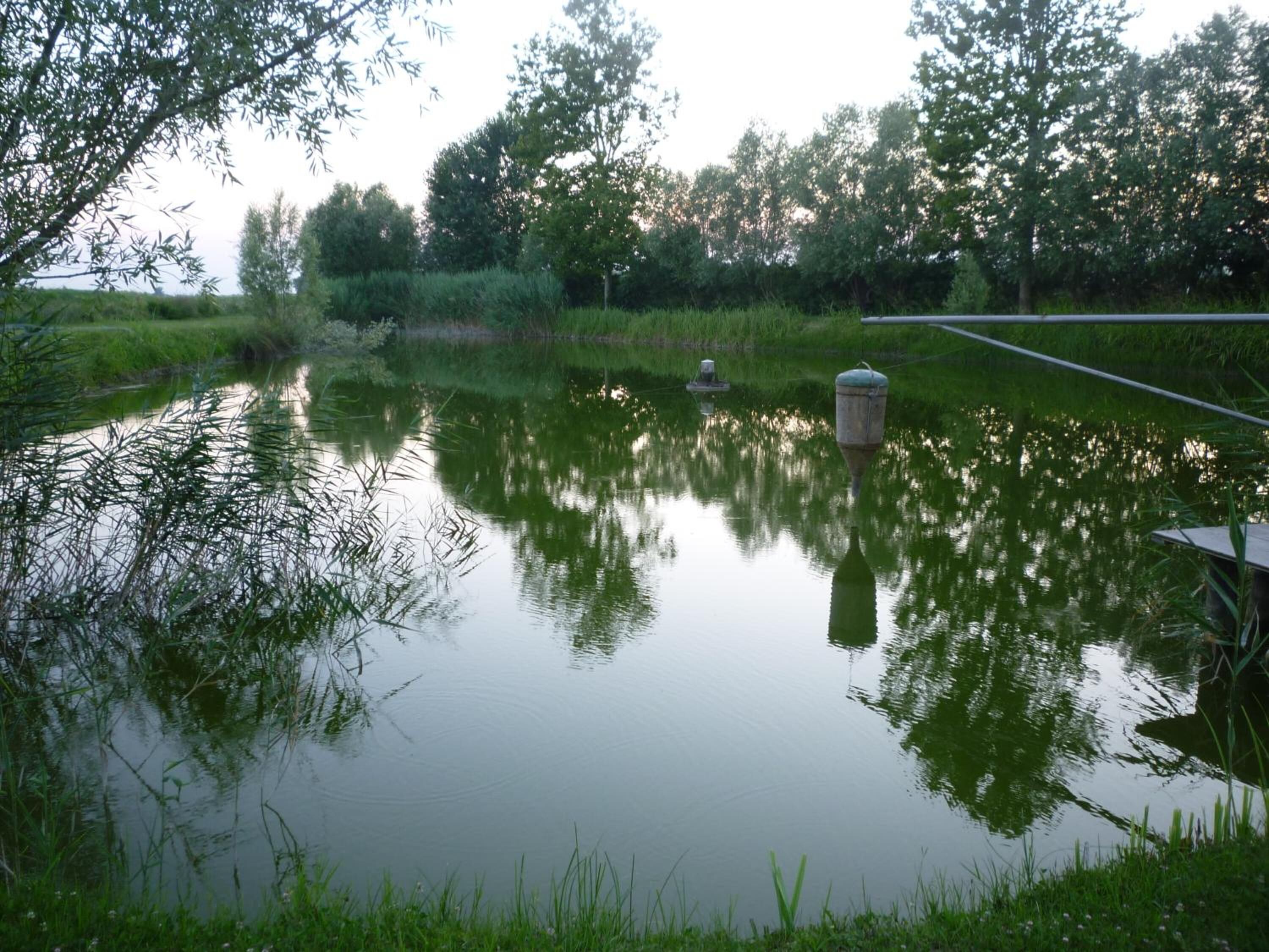 A calm pond with reflections of trees and a metal structure.
