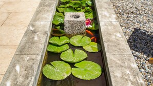 A koi pond with water lilies and fish, surrounded by potted plants and a wooden barrel. - Villa Limonade (Olonzac)